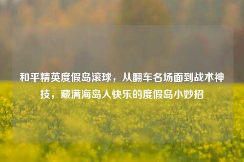 和平精英度假岛滚球,从翻车名场面到战术神技,藏满海岛人快乐的度假岛小妙招