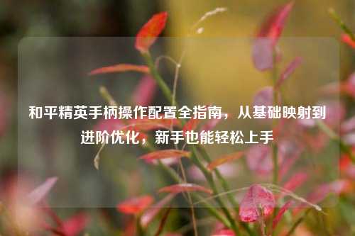 和平精英手柄操作配置全指南,从基础映射到进阶优化,新手也能轻松上手