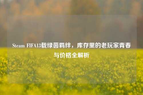 Steam FIFA13载绿茵羁绊,库存里的老玩家青春与价格全解析