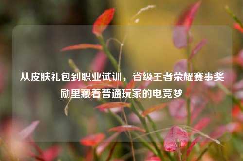 从皮肤礼包到职业试训,省级王者荣耀赛事奖励里藏着普通玩家的电竞梦
