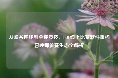 从峡谷连线到全民竞技，LOL线上比赛软件重构召唤师参赛生态全解析