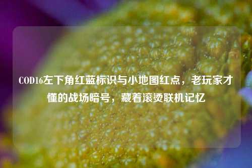 COD16左下角红蓝标识与小地图红点,老玩家才懂的战场暗号,藏着滚烫联机记忆