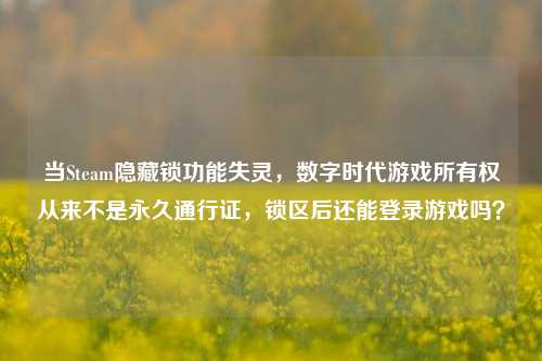 当Steam隐藏锁功能失灵，数字时代游戏所有权从来不是永久通行证，锁区后还能登录游戏吗？