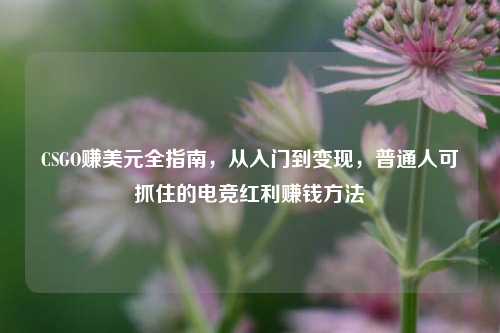 CSGO赚美元全指南，从入门到变现，普通人可抓住的电竞红利赚钱方法