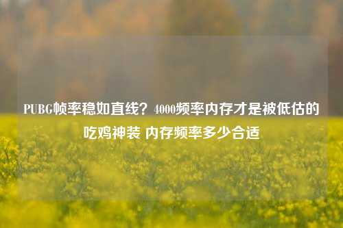 PUBG帧率稳如直线？4000频率内存才是被低估的吃鸡神装 内存频率多少合适