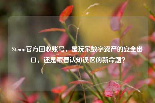 Steam官方回收账号,是玩家数字资产的安全出口,还是藏着认知误区的新命题?