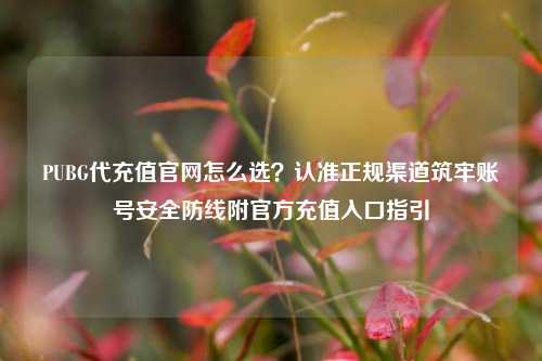 PUBG代充值官网怎么选?认准正规渠道筑牢账号安全防线附官方充值入口指引