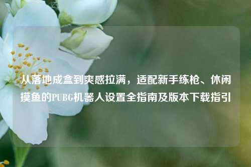 从落地成盒到爽感拉满，适配新手练枪、休闲摸鱼的PUBG机器人设置全指南及版本下载指引
