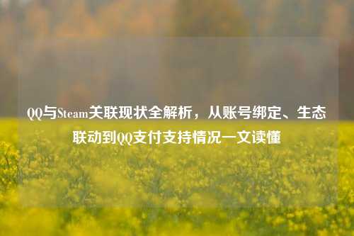 QQ与Steam关联现状全解析,从账号绑定、生态联动到QQ支付支持情况一文读懂