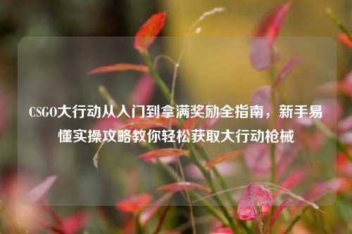 CSGO大行动从入门到拿满奖励全指南，新手易懂实操攻略教你轻松获取大行动枪械
