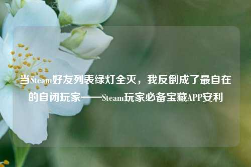 当Steam好友列表绿灯全灭,我反倒成了最自在的自闭玩家——Steam玩家必备宝藏APP安利