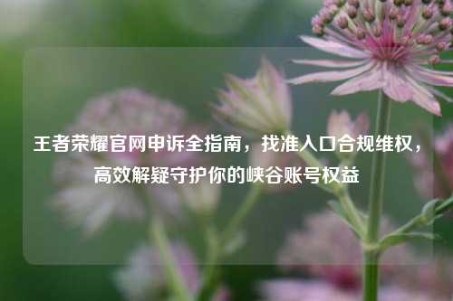 王者荣耀官网申诉全指南,找准入口合规维权,高效解疑守护你的峡谷账号权益