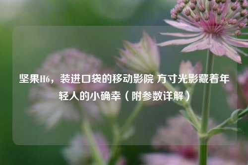 坚果H6,装进口袋的移动影院 方寸光影藏着年轻人的小确幸(附参数详解)
