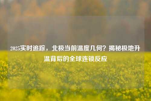 2025实时追踪,北极当前温度几何?揭秘极地升温背后的全球连锁反应