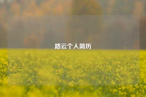 路云个人简历