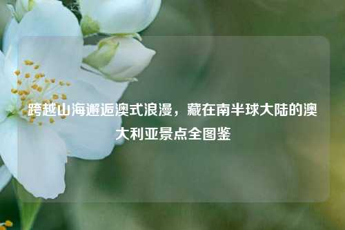 跨越山海邂逅澳式浪漫,藏在南半球大陆的澳大利亚景点全图鉴