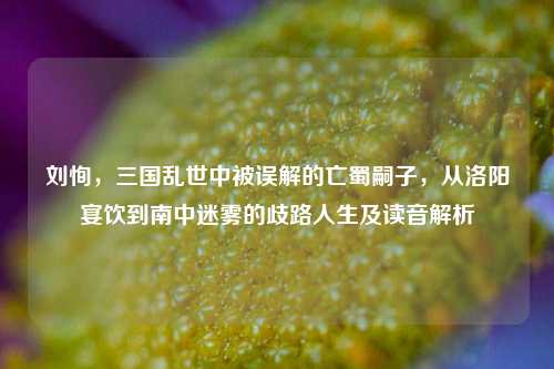 刘恂,三国乱世中被误解的亡蜀嗣子,从洛阳宴饮到南中迷雾的歧路人生及读音解析