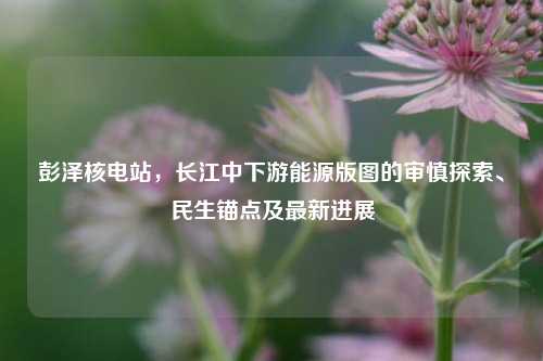 彭泽核电站,长江中下游能源版图的审慎探索、民生锚点及最新进展