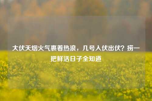 大伏天烟火气裹着热浪,几号入伏出伏?捞一把鲜活日子全知道