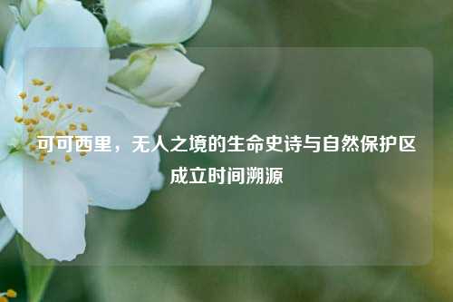 可可西里，无人之境的生命史诗与自然保护区成立时间溯源