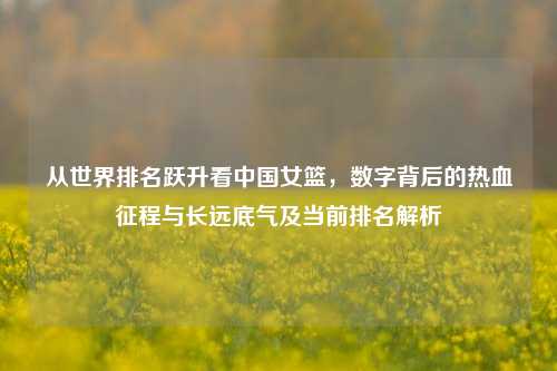 从世界排名跃升看中国女篮，数字背后的热血征程与长远底气及当前排名解析
