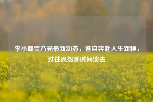 李小璐贾乃亮最新动态,各自奔赴人生新程,过往恩怨随时间淡去