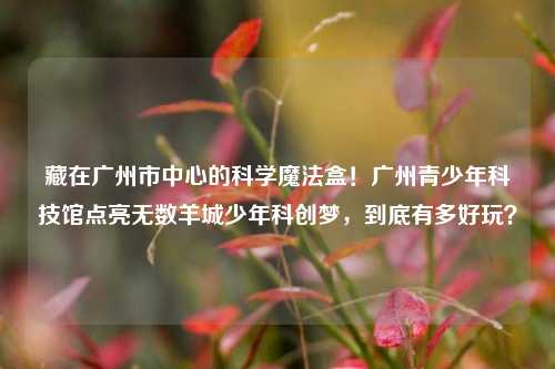 藏在广州市中心的科学魔法盒！广州青少年科技馆点亮无数羊城少年科创梦，到底有多好玩？