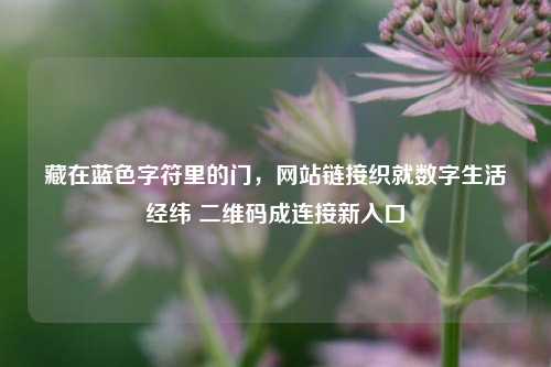 藏在蓝色字符里的门,网站链接织就数字生活经纬 二维码成连接新入口
