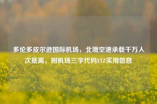 多伦多皮尔逊国际机场，北境空港承载千万人次抵离，附机场三字代码YYZ实用信息