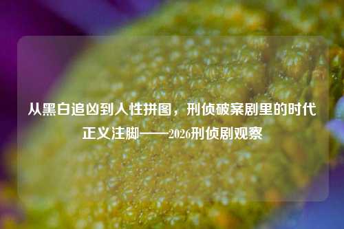 从黑白追凶到人性拼图,刑侦破案剧里的时代正义注脚——2026刑侦剧观察