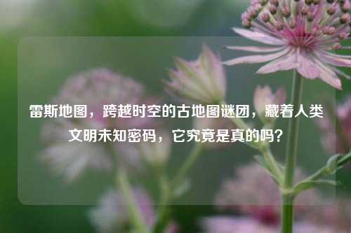 雷斯地图，跨越时空的古地图谜团，藏着人类文明未知密码，它究竟是真的吗？
