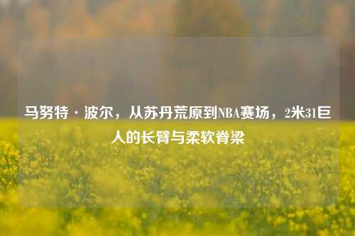 马努特·波尔，从苏丹荒原到NBA赛场，2米31巨人的长臂与柔软脊梁