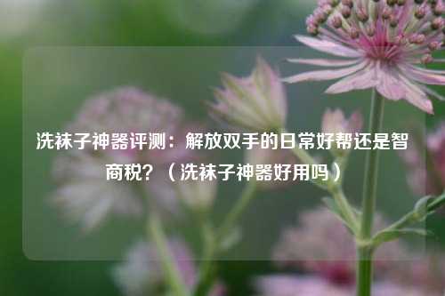 洗袜子神器评测:解放双手的日常好帮还是智商税?(洗袜子神器好用吗)