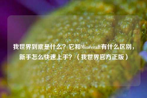 我世界到底是什么?它和Minecraft有什么区别,新手怎么快速上手?(我世界官方正版)