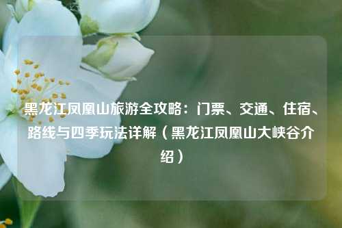 黑龙江凤凰山旅游全攻略:门票、交通、住宿、路线与四季玩法详解(黑龙江凤凰山大峡谷介绍)