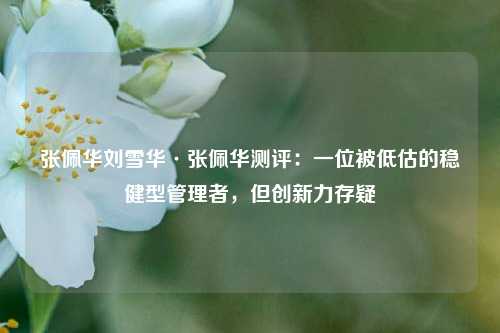 张佩华刘雪华·张佩华测评:一位被低估的稳健型管理者,但创新力存疑