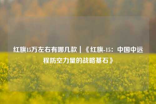 红旗15万左右有哪几款|《红旗-15:中国中远程防空力量的战略基石》