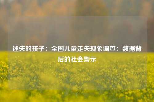 迷失的孩子:全国儿童走失现象调查:数据背后的社会警示