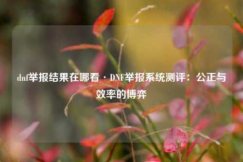 dnf举报结果在哪看·DNF举报系统测评:公正与效率的博弈