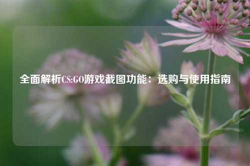 全面解析CS:GO游戏截图功能:选购与使用指南