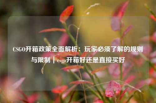 CSGO开箱政策全面解析：玩家必须了解的规则与限制｜csgo开箱好还是直接买好