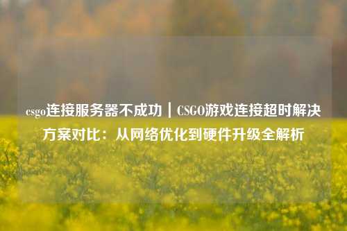csgo连接服务器不成功|CSGO游戏连接超时解决方案对比:从网络优化到硬件升级全解析
