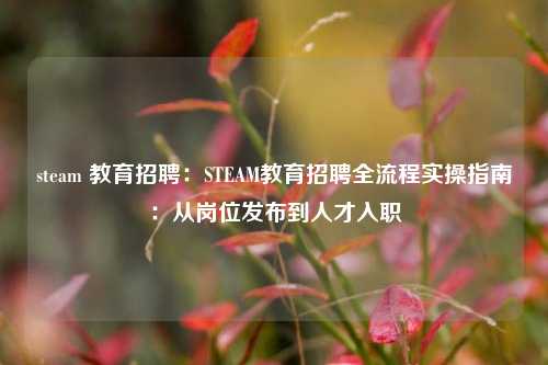 steam 教育招聘:STEAM教育招聘全流程实操指南:从岗位发布到人才入职