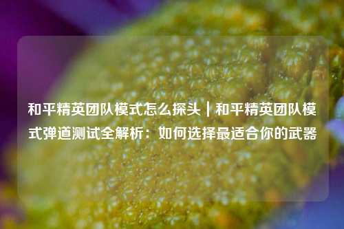 和平精英团队模式怎么探头|和平精英团队模式弹道测试全解析:如何选择最适合你的武器