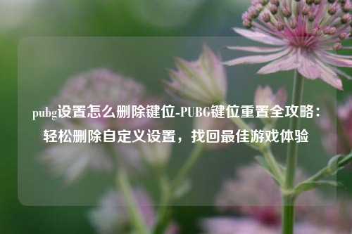 pubg设置怎么删除键位-PUBG键位重置全攻略:轻松删除自定义设置,找回最佳游戏体验
