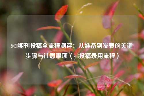 SCI期刊投稿全流程测评:从准备到发表的关键步骤与注意事项(sci投稿录用流程)