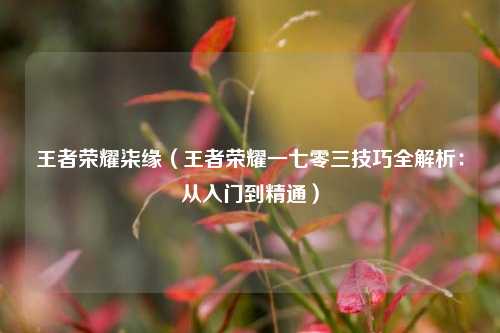 王者荣耀柒缘（王者荣耀一七零三技巧全解析：从入门到精通）