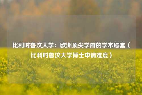 比利时鲁汶大学:欧洲顶尖学府的学术殿堂(比利时鲁汶大学博士申请难度)