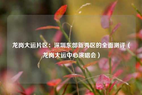龙岗大运片区:深圳东部新秀区的全面测评(龙岗大运中心演唱会)