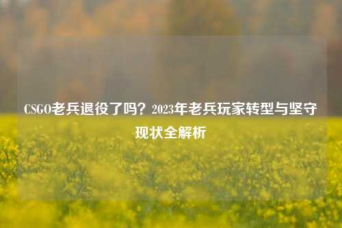 CSGO老兵退役了吗？2023年老兵玩家转型与坚守现状全解析
